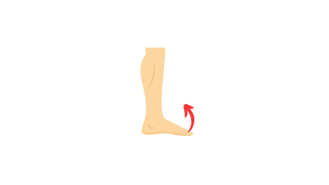 calf muscle, relief of cramp